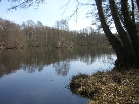 Wegberg-Busch : Hospitalstraße, Buschmühlenweiher